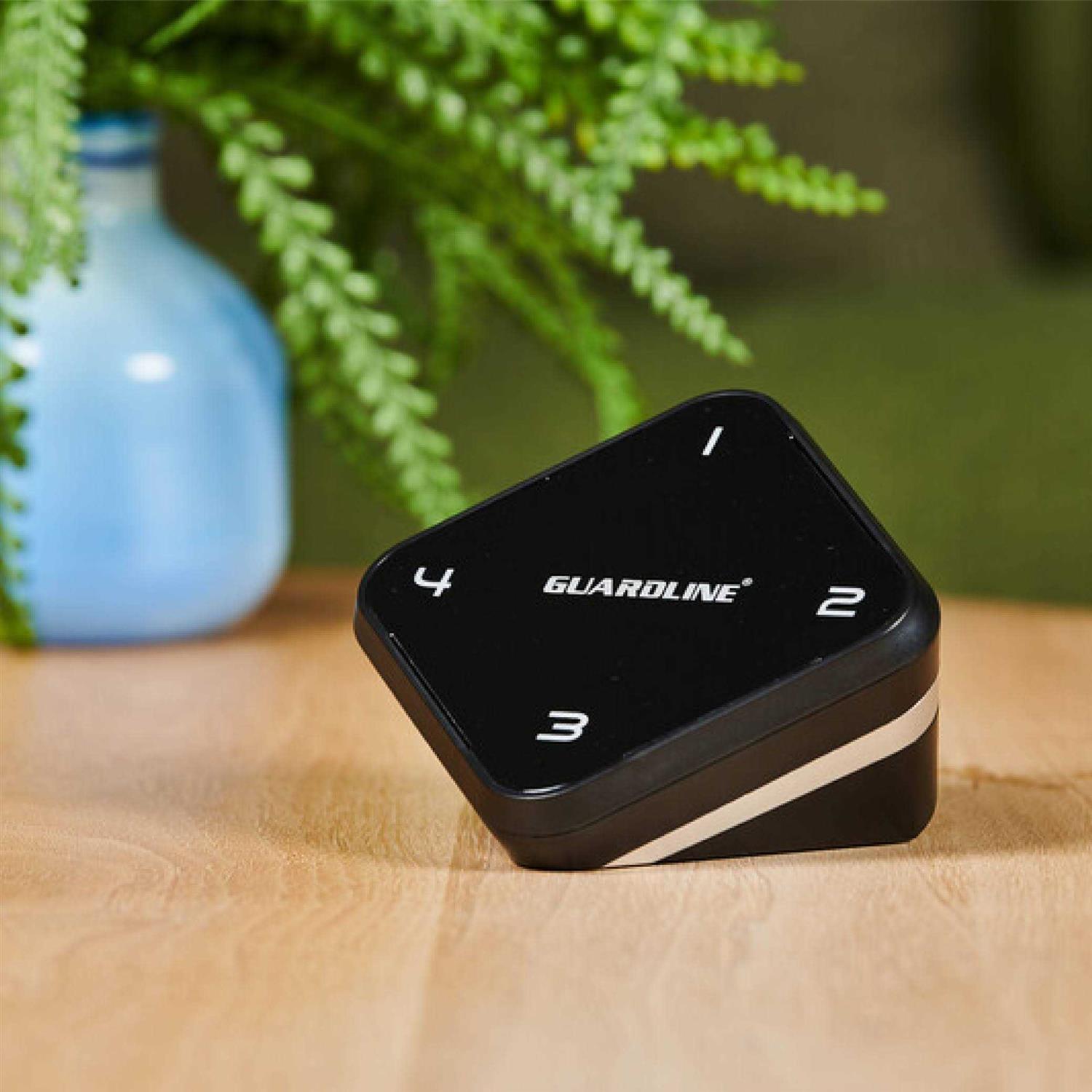 Wireless Driveway Alarm Guardline Security Driveway Alert System - Image 4