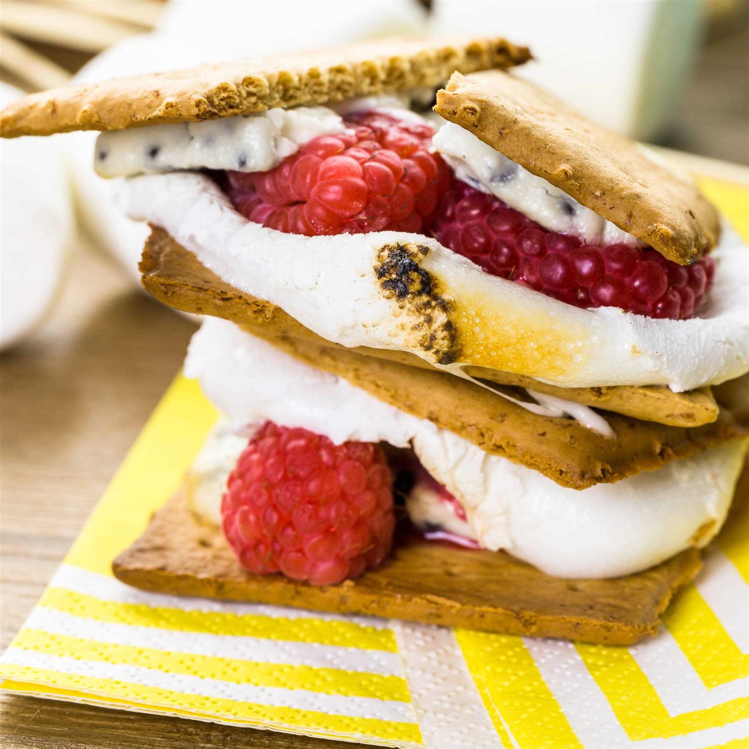 Jet-Puffed Electric S'mores Maker - Image 4