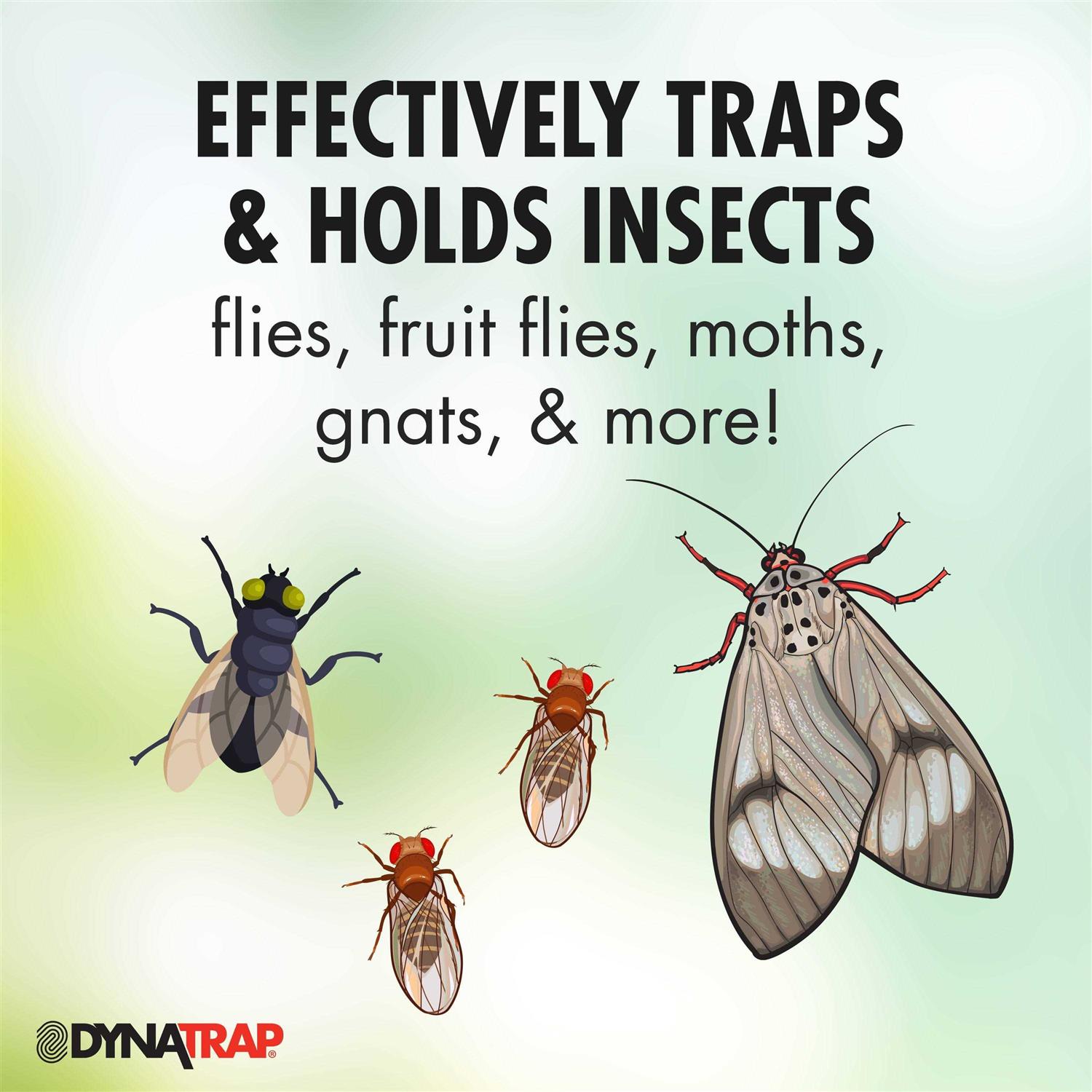 Dynatrap Insect Trap Replacement Glue Board - Image 3