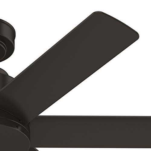 Hunter Kennicott Outdoor Ceiling Fan - Image 2