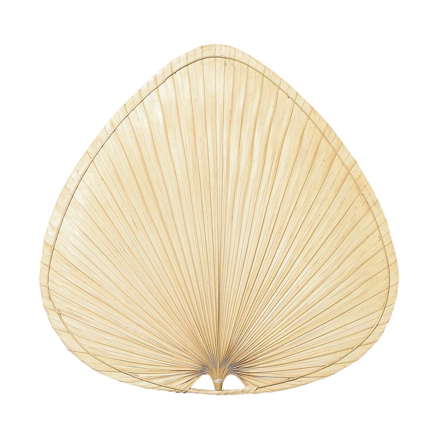 Fanimation Blades Palm Blade Set ISP1