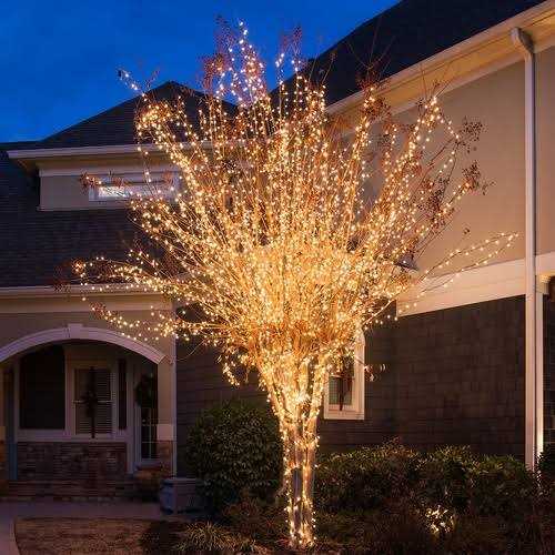Commercial Clear Mini String Lights - Image 5