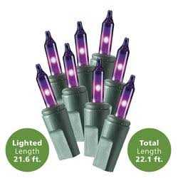 Philips 100 Mini Lights - Image 2