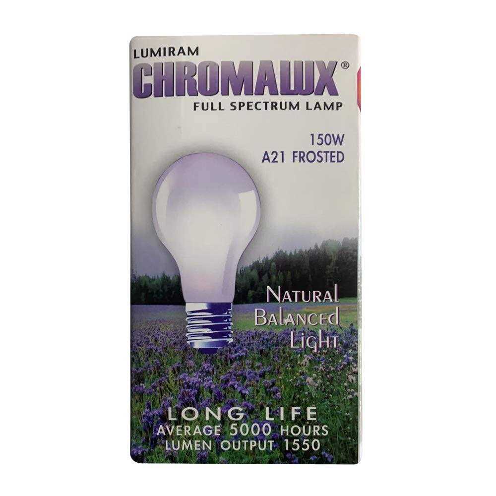 Chromalux Frosted Light Bulb - Image 4