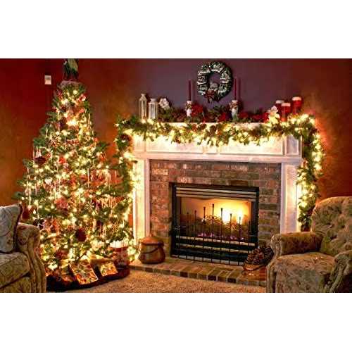 Stardunes Christmas Light Controller 16 Flash/Fade Functions - Image 3