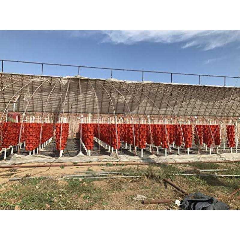 Mr Stacky 5 Tier Strawberry Planter - Image 3